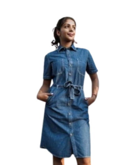 Ladies Dress